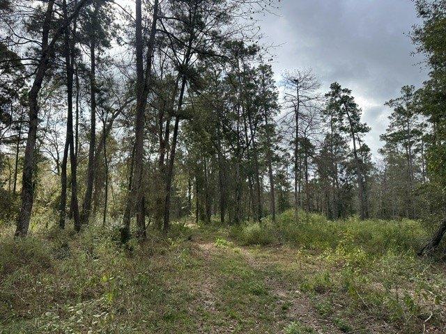 Land for sale in Willis, Montgomery County