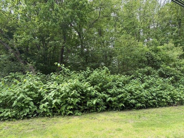 Land for sale in Plymouth, Connecticut