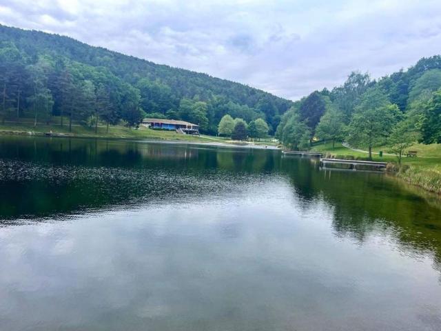 Haus kaufen in Forchtenstein, Burgenland