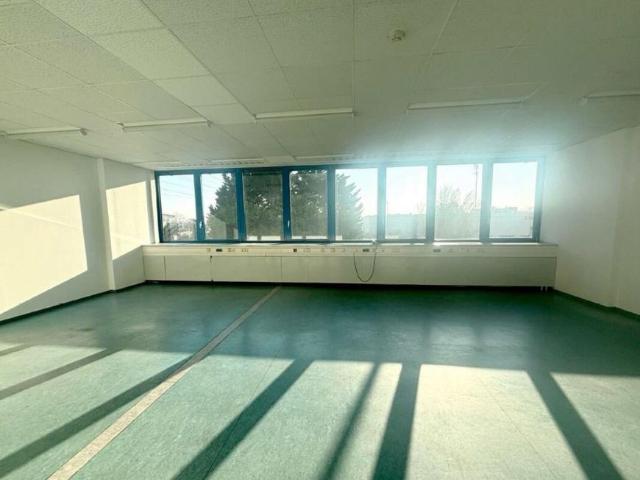 Gewerbe mieten in Wiener Neudorf, Niederösterreich