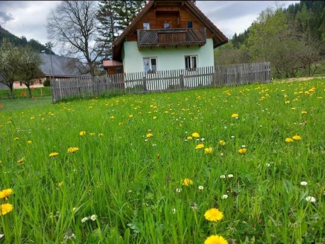Haus kaufen in Möderbrugg, Steiermark