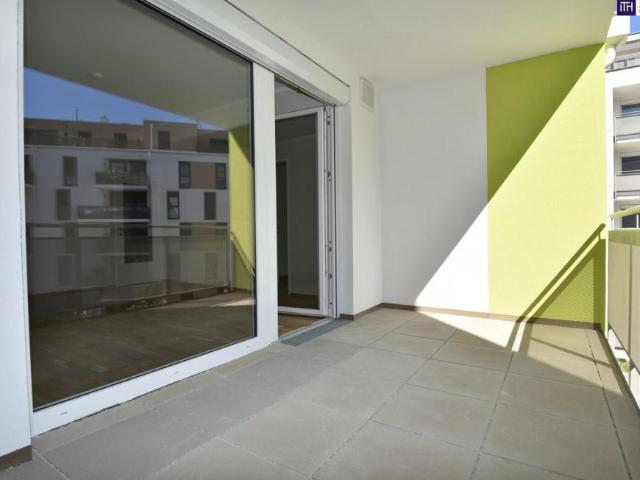 Wohnung mieten in Schwechat, Niederösterreich