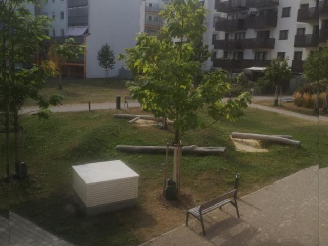 Wohnung mieten in Schwechat, Niederösterreich