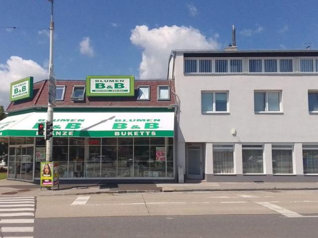 Wohnung mieten in Lanzendorf, Niederösterreich