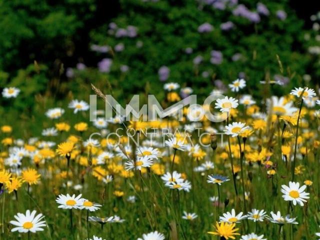 Gewerbe kaufen in Linz, Oberösterreich