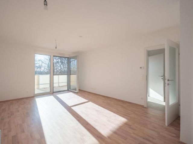 Wohnung mieten in Eisenstadt, Burgenland