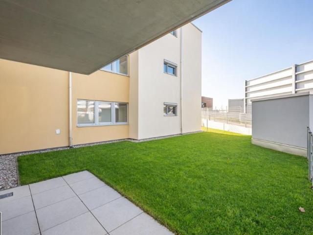 Wohnung mieten in Eisenstadt, Burgenland