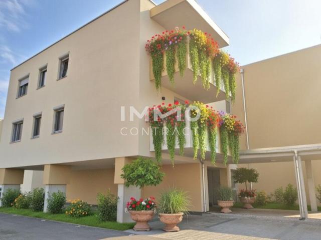 Wohnung mieten in Eisenstadt, Burgenland