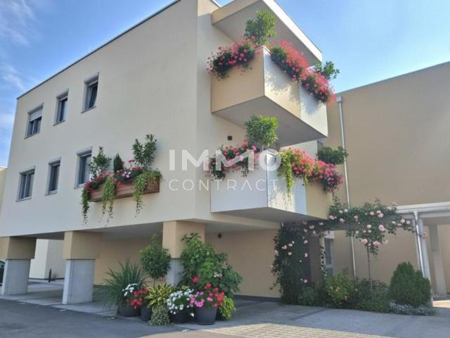 Wohnung mieten in Eisenstadt, Burgenland