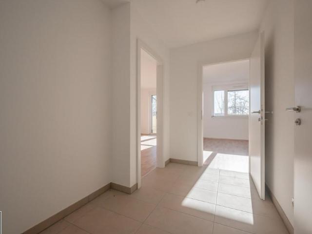Wohnung mieten in Eisenstadt, Burgenland