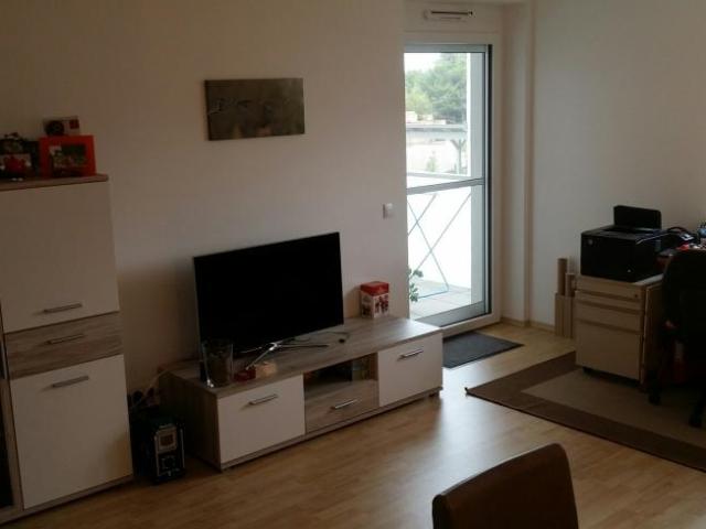 Wohnung mieten in Gols, Burgenland