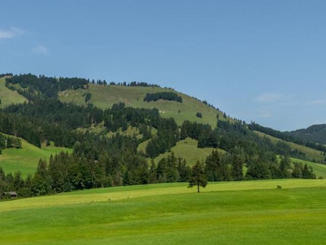 Wohnung mieten in Hochfilzen, Tirol