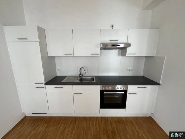 Wohnung mieten in Frauenstein, Kärnten