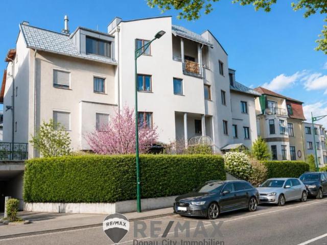 Wohnung mieten in Schöffelstadt, Mödling