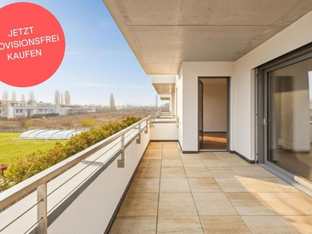 Wohnung kaufen in Wiener Neustadt, Niederösterreich