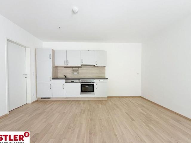 Wohnung mieten in Baden, Niederösterreich