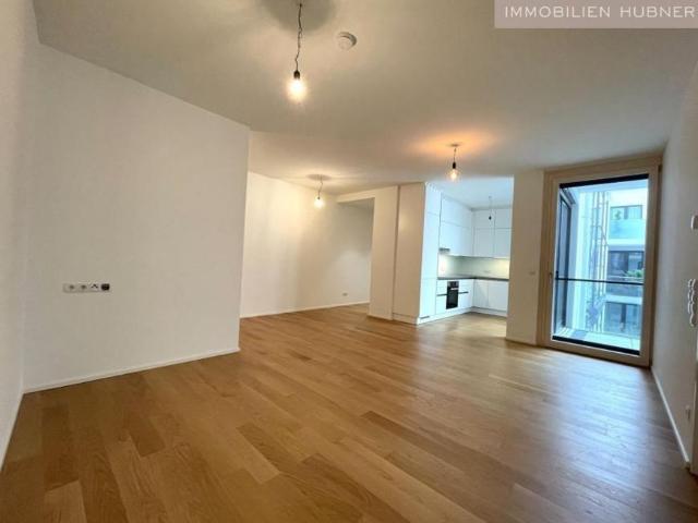 Wohnung mieten in Schöffelstadt, Mödling