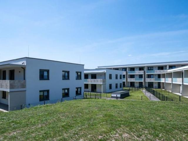 Wohnung mieten in Wiener Neustadt, Niederösterreich