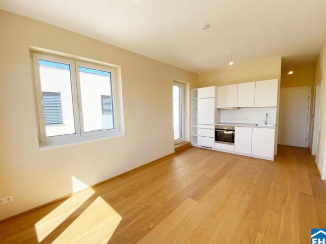 Wohnung mieten in Haslau an der Donau, Niederösterreich