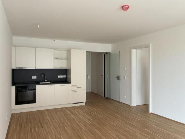 Wohnung mieten in Vösendorf, Niederösterreich