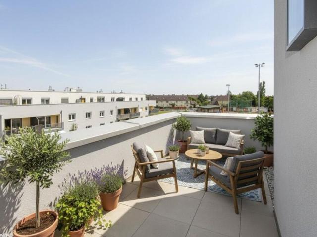 Wohnung mieten in Wiener Neustadt, Niederösterreich