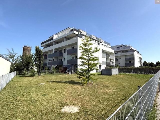 Wohnung mieten in Wiener Neustadt, Niederösterreich