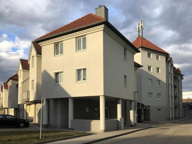 Wohnung mieten in Wiener Neustadt, Niederösterreich