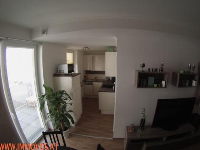 Wohnung mieten in Wiener Neudorf, Niederösterreich
