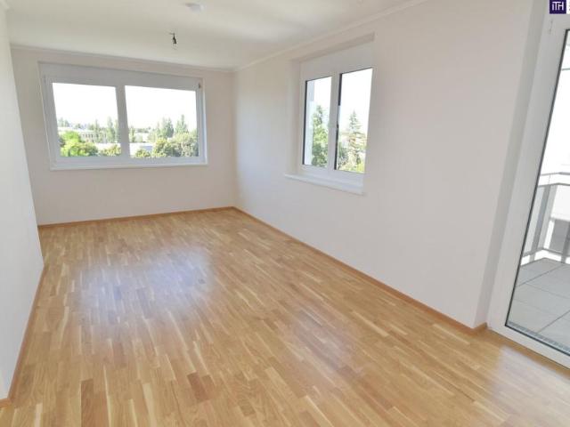 Wohnung mieten in Katastralgemeinde Mannswörth, Schwechat