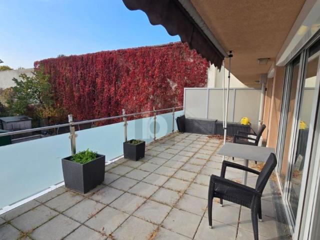Wohnung mieten in Wiener Neudorf, Bezirk Mödling