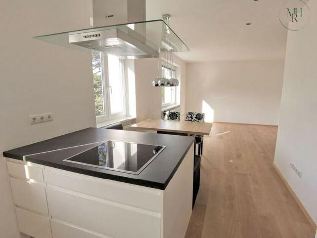 Wohnung mieten in Schöffelstadt, Mödling