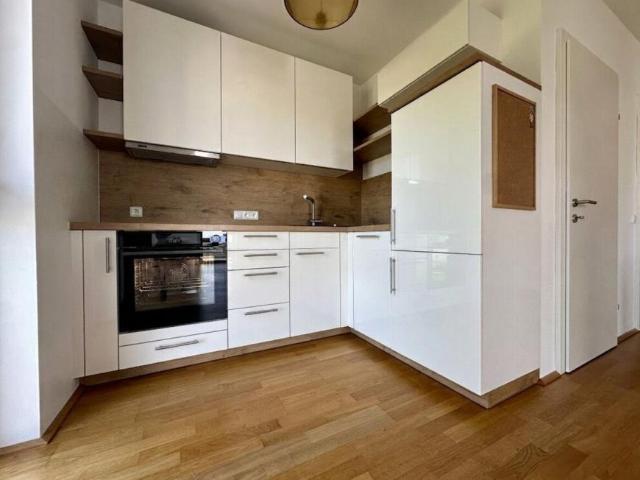 Wohnung mieten in Alm, Regau