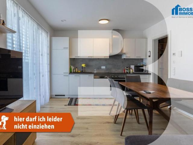 Wohnung mieten in Linz, Oberösterreich