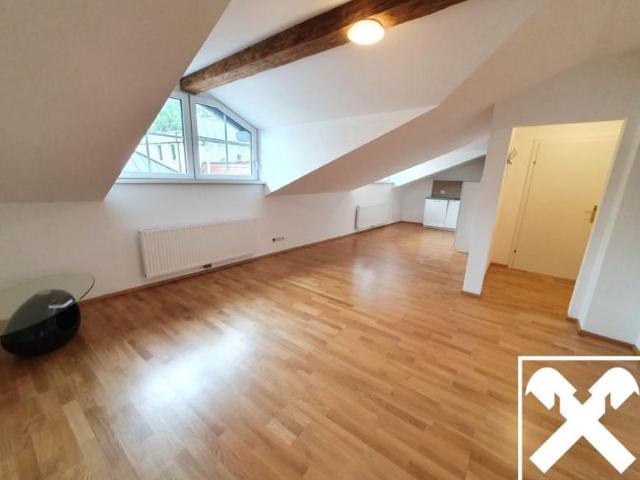 Wohnung mieten in Steinbruch, Ahorn