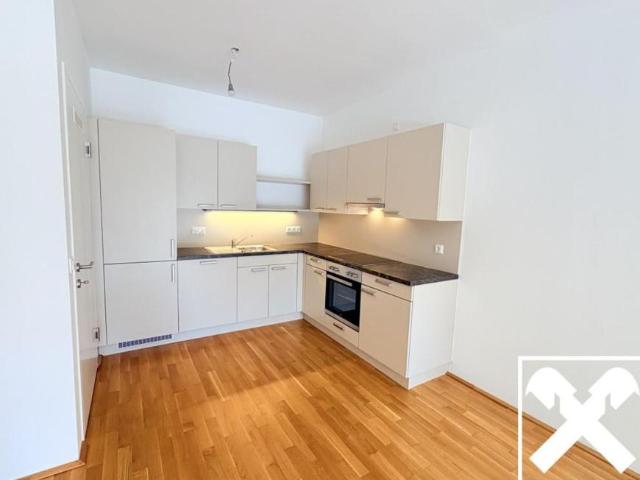 Wohnung mieten in Steinbruch, Ahorn