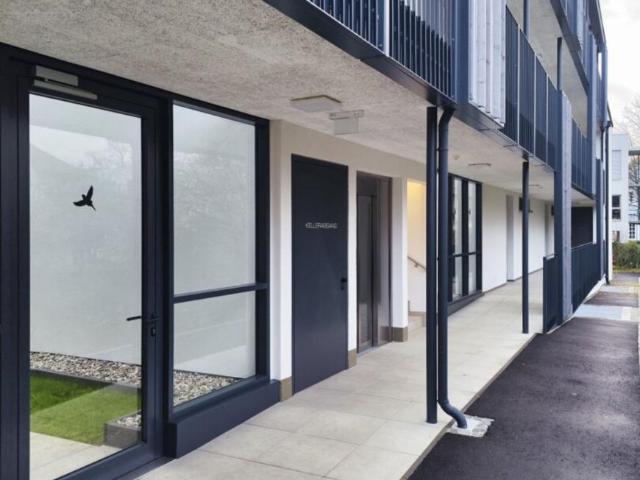 Wohnung mieten in Pernau, Wels