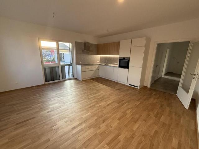 Wohnung mieten in Altstadt, Salzburg