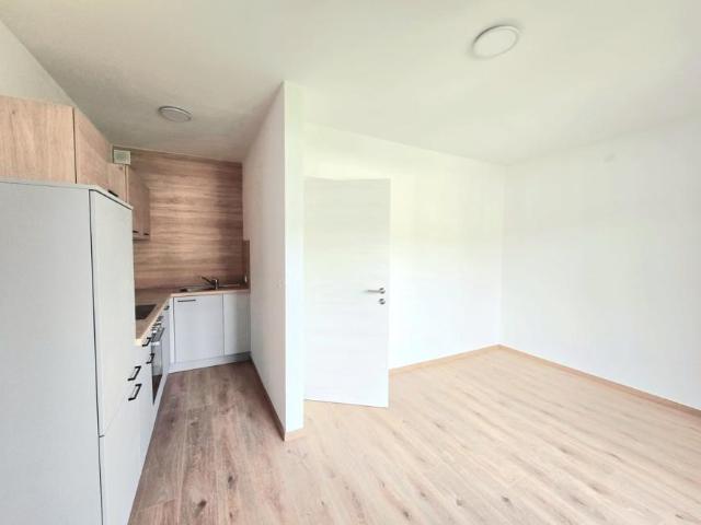 Wohnung mieten in Edling, Spittal an der Drau
