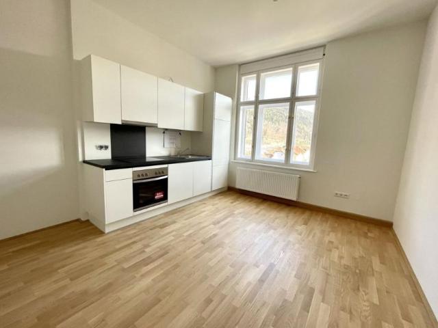 Wohnung mieten in Mürzzuschlag, Steiermark