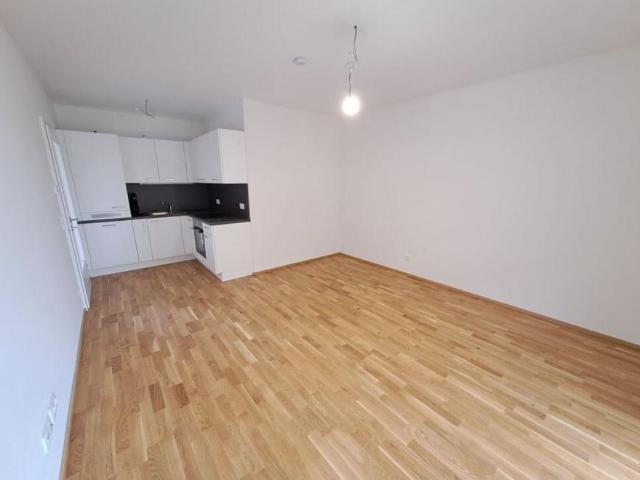 Wohnung mieten in Kleinsulz, Steiermark