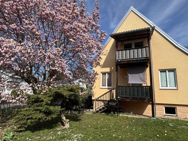 Wohnung mieten in Feldbach, Steiermark