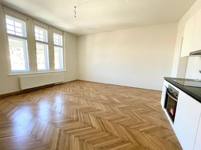 Wohnung mieten in Mürzzuschlag, Steiermark