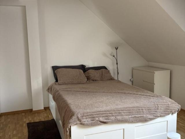 Wohnung mieten in Geidorf, Gersdorf-Feistritz
