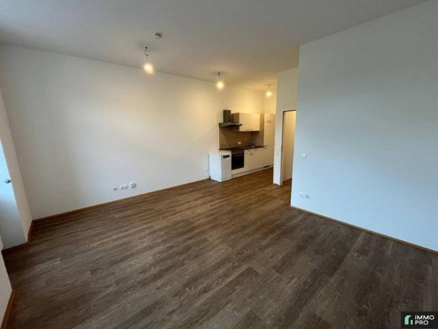 Wohnung mieten in Leoben, Steiermark