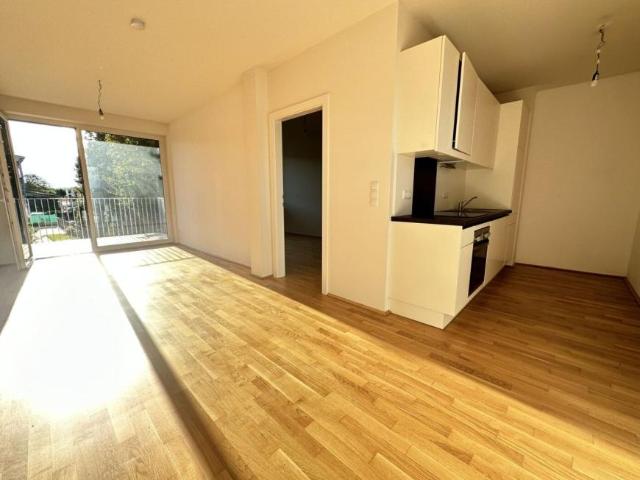 Wohnung mieten in Liebenau, Gersdorf-Feistritz