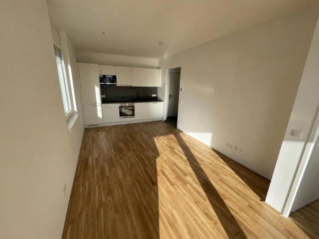 Wohnung mieten in Liebenau, Gersdorf-Feistritz