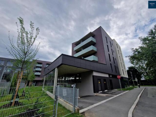 Wohnung mieten in Eggenberg, Gersdorf-Feistritz