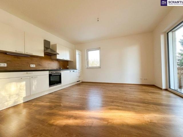 Wohnung mieten in Kleinsulz, Steiermark