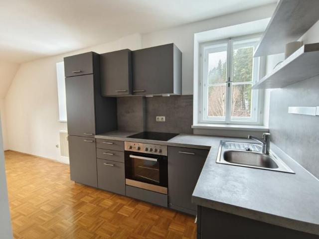 Wohnung mieten in Alpl, Neuberg an der Mürz