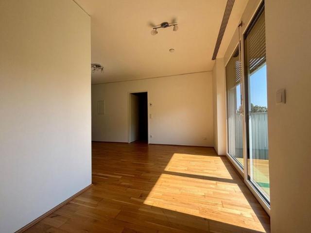 Wohnung mieten in Haslau, Thal